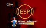 ESP Nedir - ESP Ne işe yarar